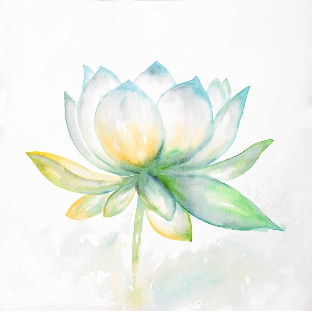 Lotus Flower Poster Print by Atelier B Art Studio-VARPDXBEGFLO183 Image 2