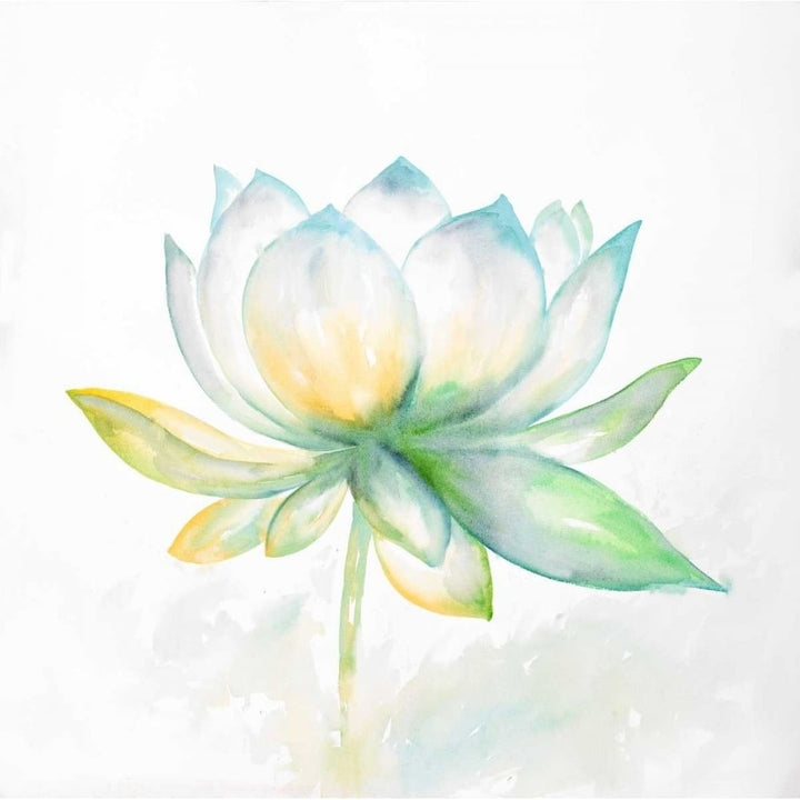 Lotus Flower Poster Print by Atelier B Art Studio-VARPDXBEGFLO183 Image 1