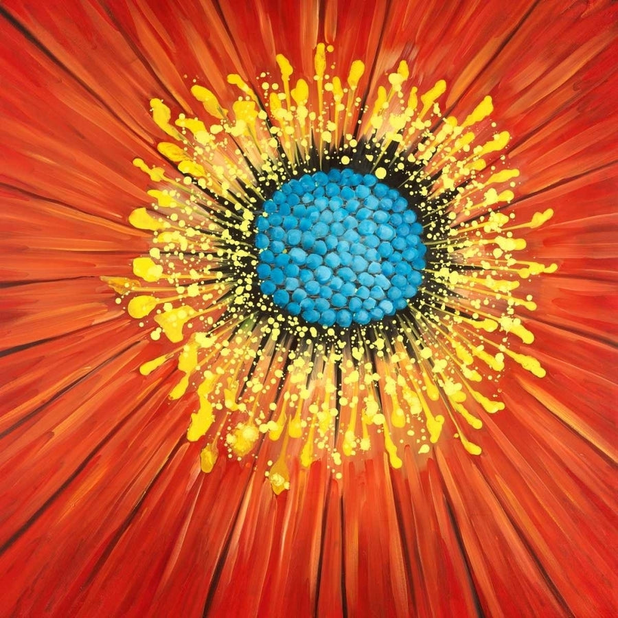 Close-up on a red flower Poster Print by Atelier B Art Studio-VARPDXBEGFLO192 Image 1