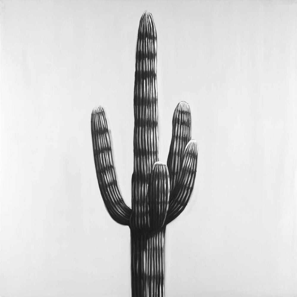 Large Cactus Poster Print by Atelier B Art Studio-VARPDXBEGFLO196 Image 1