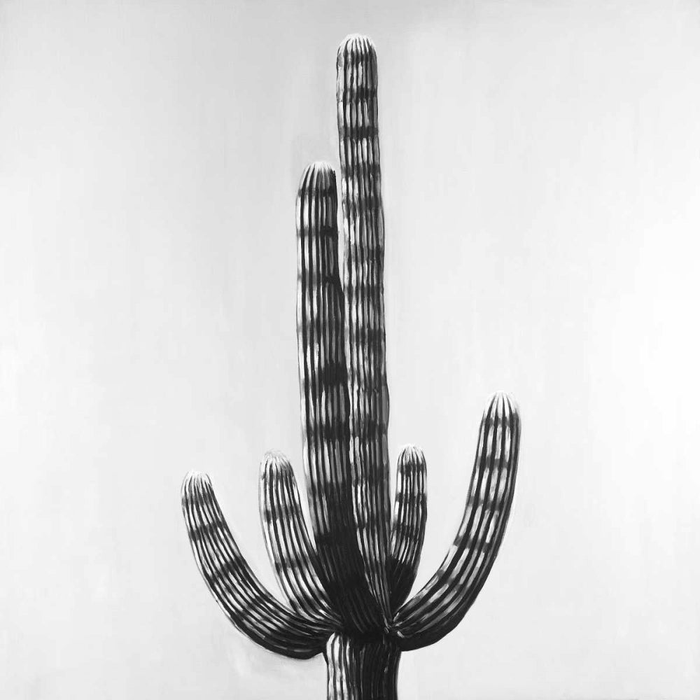 Cactus Poster Print by Atelier B Art Studio-VARPDXBEGFLO197 Image 1