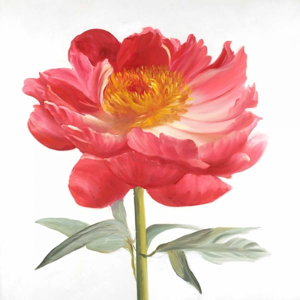 Pink Peony Poster Print by Atelier B Art Studio-VARPDXBEGFLO207 Image 1