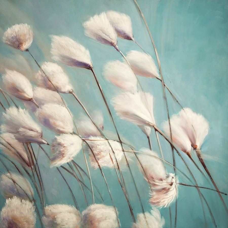 COTTON GRASS FLOWERS IN THE WIND Poster Print by Atelier B Art Studio-VARPDXBEGFLO243 Image 1