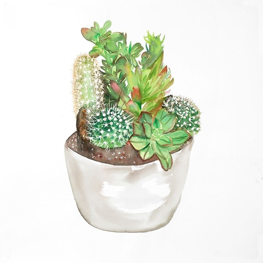 CACTUS ASSORTMENT IN A POT Poster Print by Atelier B Art Studio-VARPDXBEGFLO265 Image 1