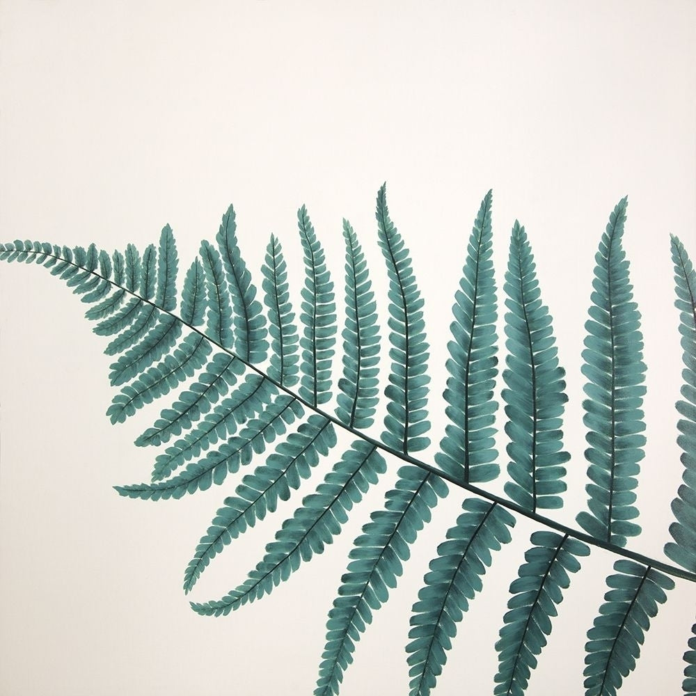 BEAUTIFUL FERN Poster Print by Atelier B Art Studio-VARPDXBEGFLO262 Image 1