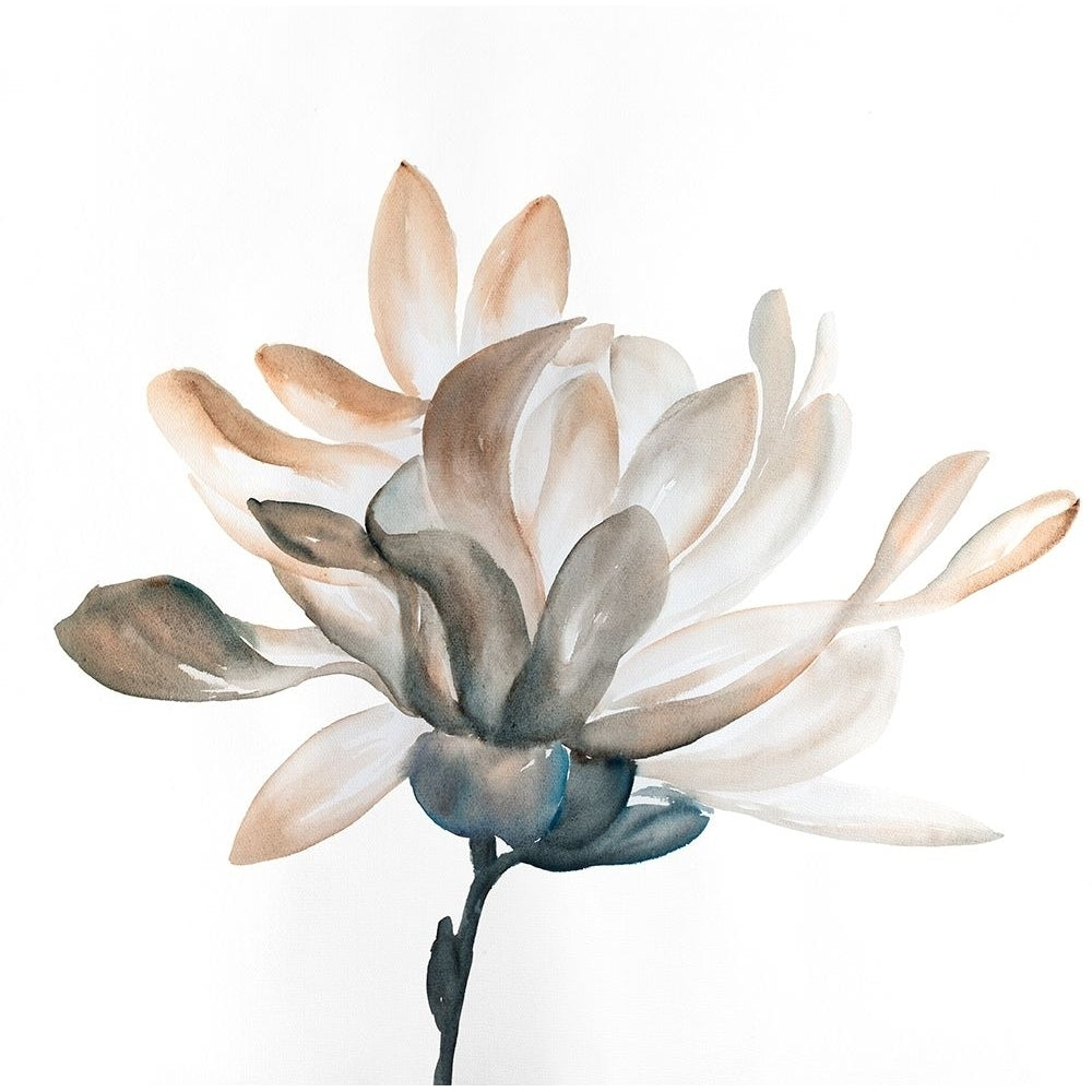 DESATURATED FLOWER WITH BEAUTIFUL PETALS Poster Print by Atelier B Art Studio-VARPDXBEGFLO279 Image 1