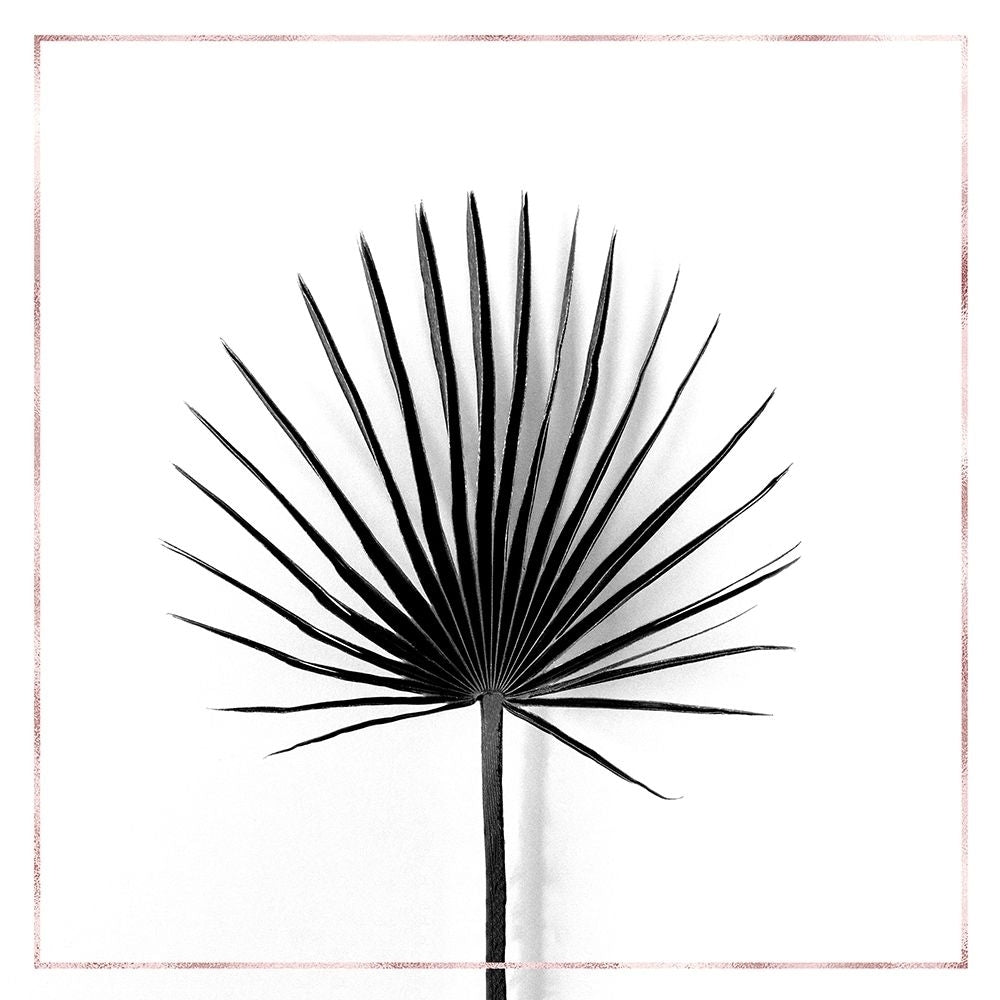 CABBAGE PALM LEAF WITH ROSE LINES Poster Print by Atelier B Art Studio-VARPDXBEGFLO303 Image 1