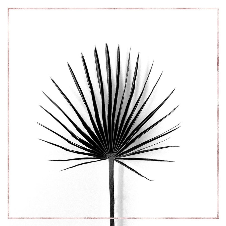 CABBAGE PALM LEAF WITH ROSE LINES Poster Print by Atelier B Art Studio-VARPDXBEGFLO303 Image 1