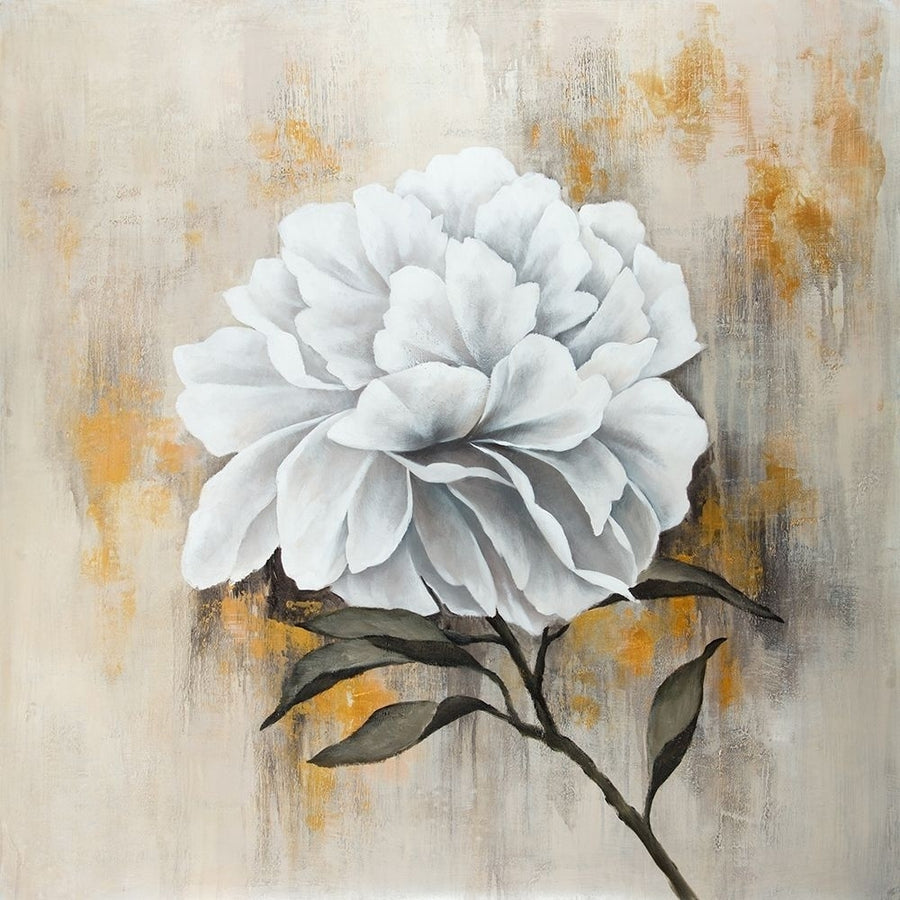 WHITE PEONY Poster Print by Atelier B Art Studio Atelier B Art Studio-VARPDXBEGFLO350 Image 1