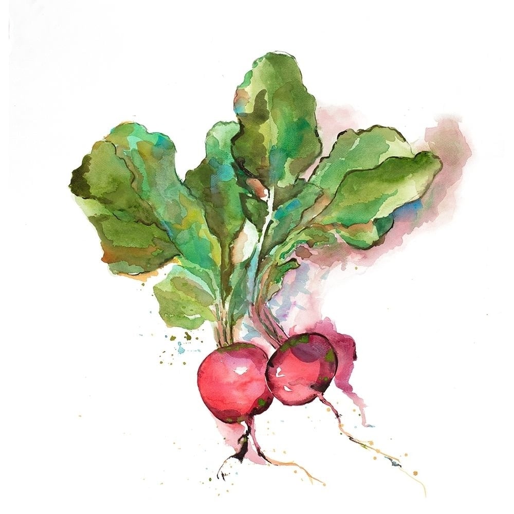 Watercolor Radish Poster Print by Atelier B Art Studio-VARPDXBEGGAS81 Image 2