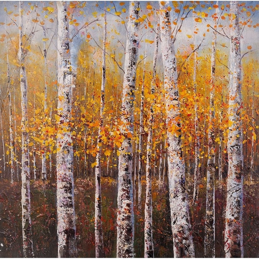 BIRCHES BY SUNNY DAY Poster Print by Atelier B Art Studio-VARPDXBEGLAN31 Image 1