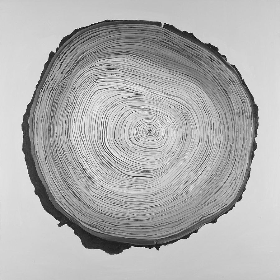 Grayscale Round Shaped Tree Slab Poster Print by Atelier B Art Studio-VARPDXBEGMIS70 Image 1