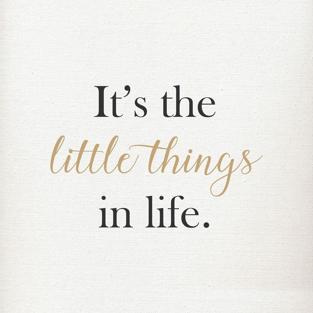 ITS THE LITTLE THINGS IN LIFE Poster Print by Atelier B Art Studio-VARPDXBEGQUO11 Image 1