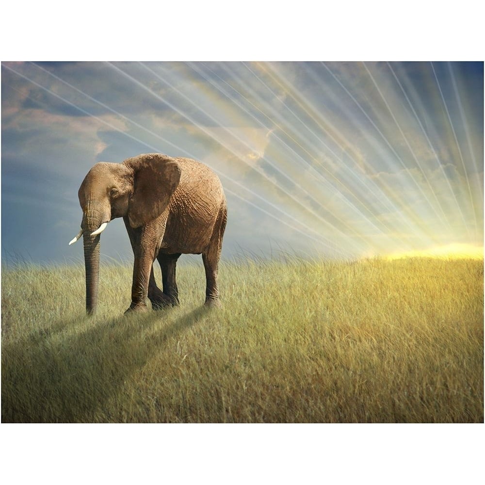 Walk With the Light Poster Print - Ben Heine-VARPDXBENHEI261266 Image 1