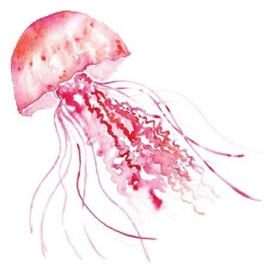 Pink Jellyfish Poster Print by Sara Berrenson-VARPDXBER132 Image 2