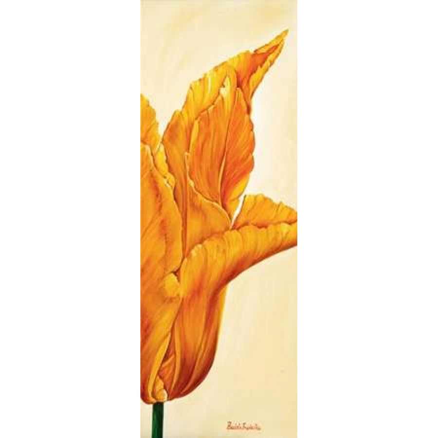 Tulips in Tryptichon III Poster Print by Beatrix Frederiks-VARPDXBF200612 Image 1