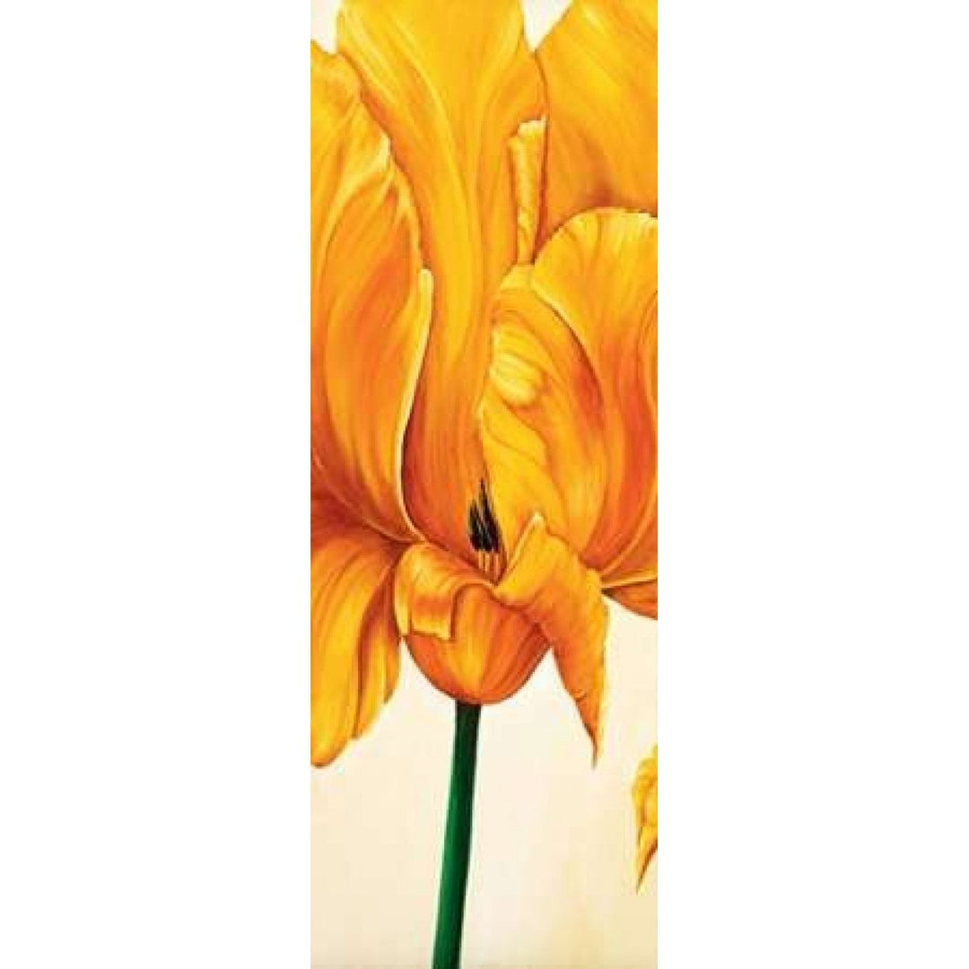 Tulips in Tryptichon I Poster Print by Beatrix Frederiks-VARPDXBF200610 Image 2