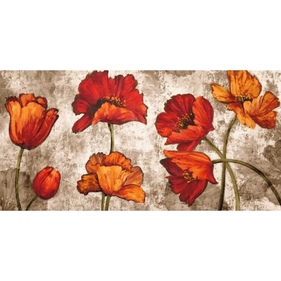 Poppy Paradise Poster Print by Brian Francis-VARPDXBF6893 Image 1