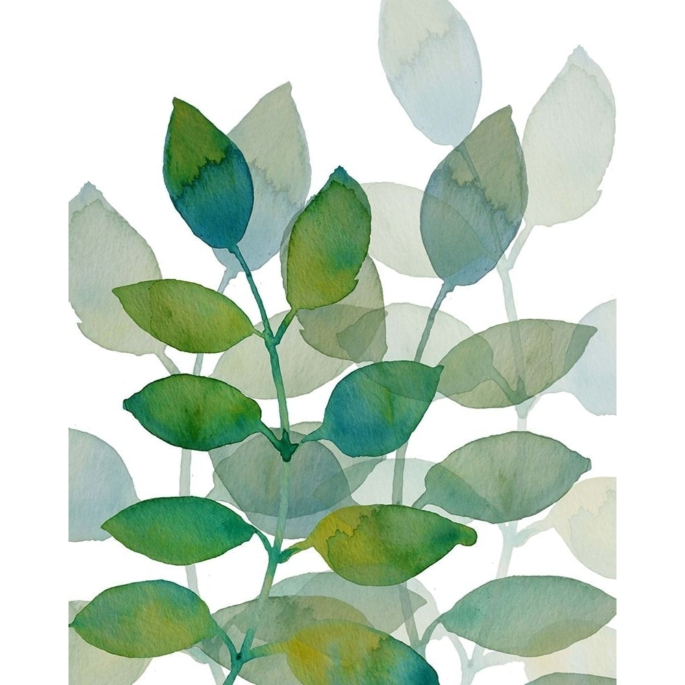 Leaf Echo 2 Poster Print by Boho Hue Studio Boho Hue Studio-VARPDXBHSRC006B Image 2