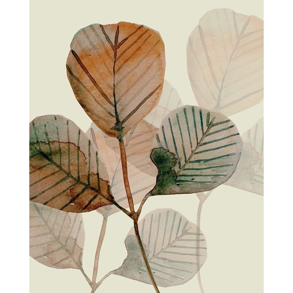 Brown Leaves 2 Poster Print by Boho Hue Studio Boho Hue Studio-VARPDXBHSRC013B Image 1