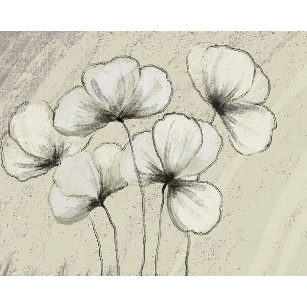 Sketched Flowers on Cream Poster Print by Boho Hue Studio Boho Hue Studio-VARPDXBHSRC048A Image 1