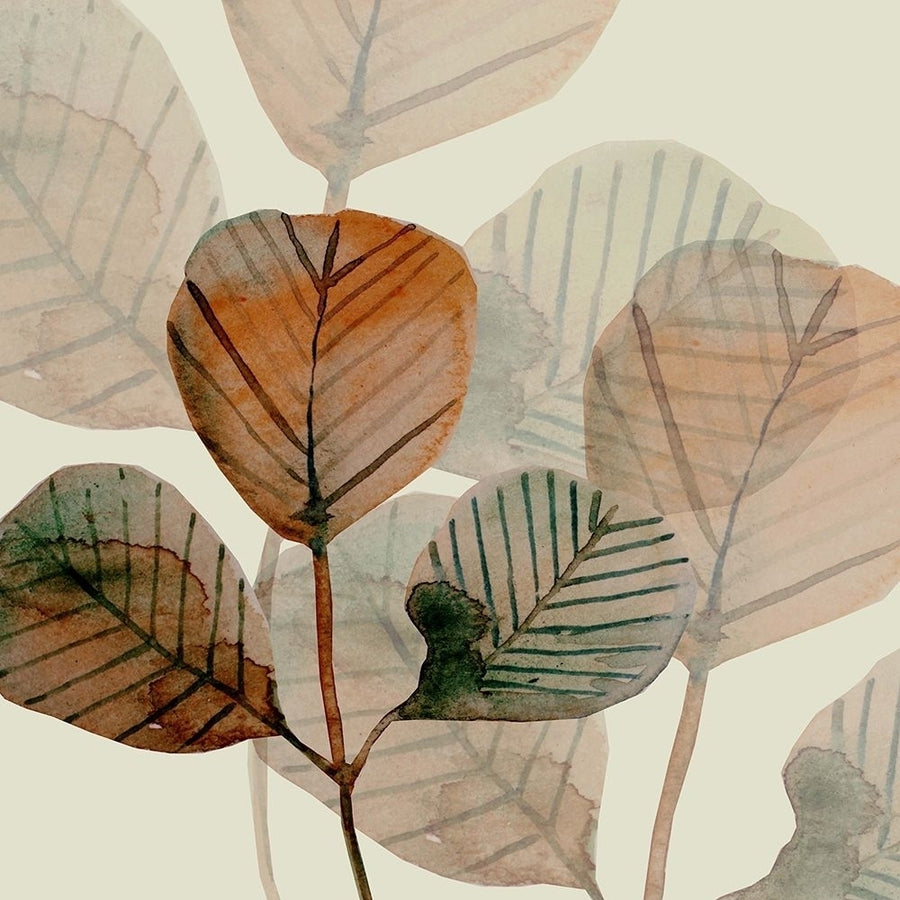 Squared Brown Leaves 1 Poster Print by Boho Hue Studio-VARPDXBHSSQ024A Image 1