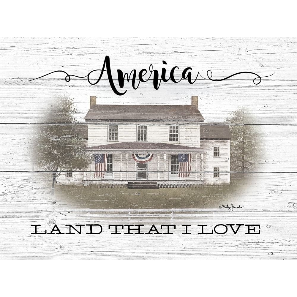 America Poster Print by Billy Jacobs-VARPDXBJ1203 Image 1