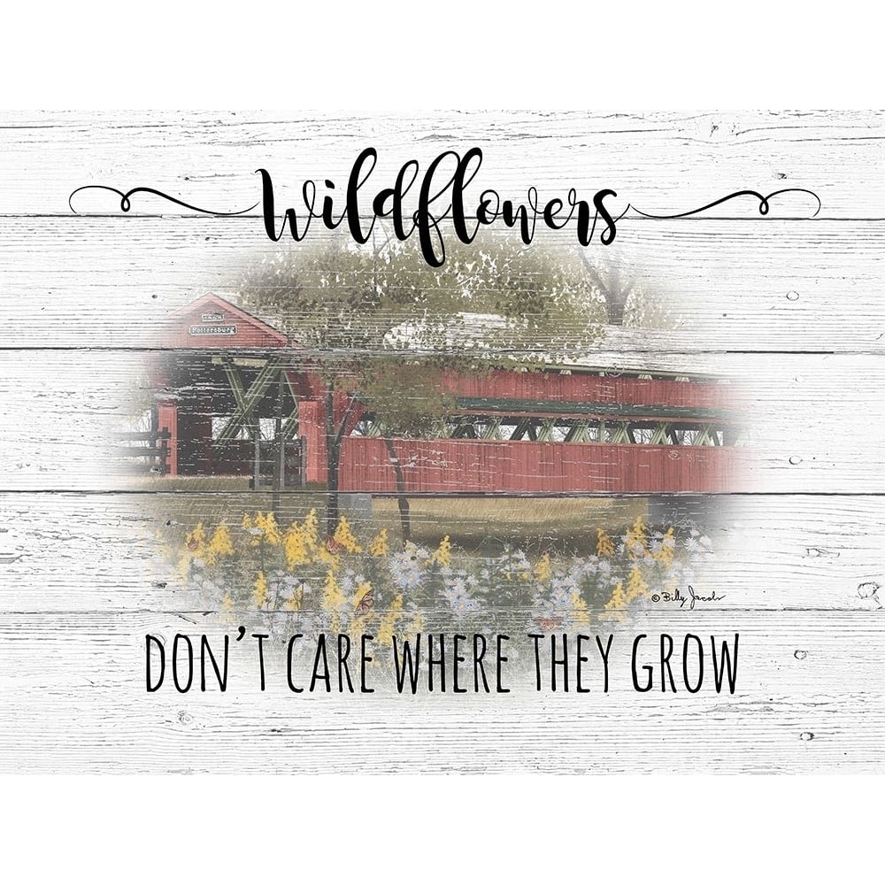 Wildflowers Poster Print by Billy Jacobs-VARPDXBJ1217 Image 1