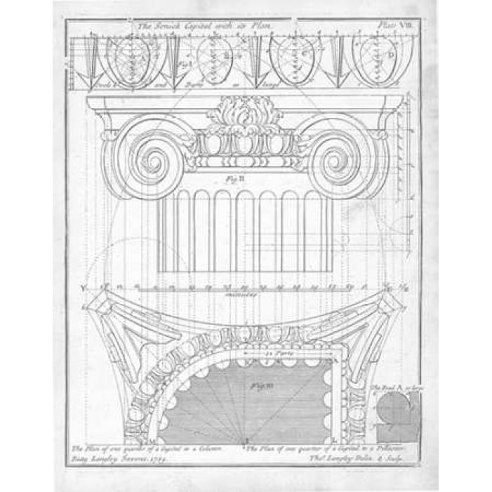 The Ionic Capital Poster Print by Batty Langley-VARPDXBL03 Image 2