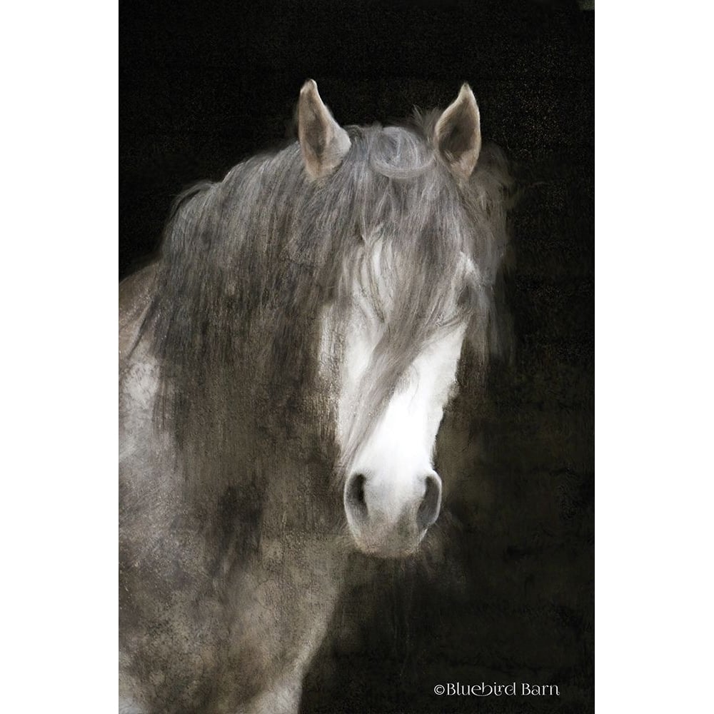 Gypsy Vanner Mystique Poster Print by Bluebird Barn Bluebird Barn-VARPDXBLUE260 Image 1