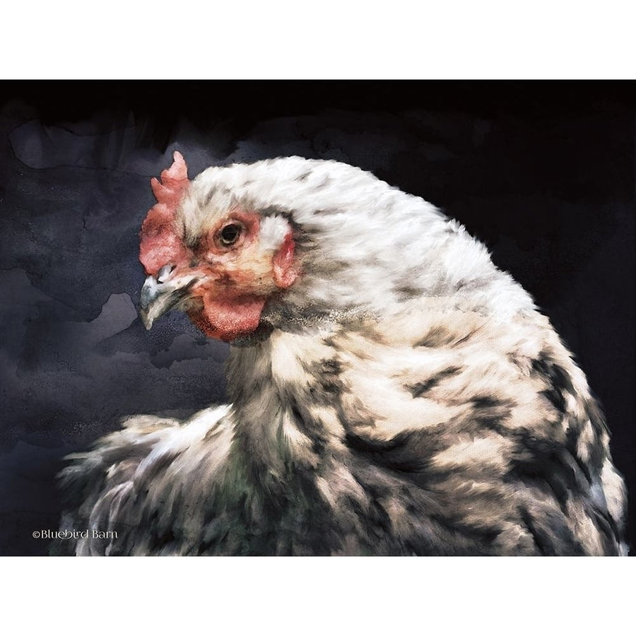 Rooster Portrait Poster Print by Bluebird Barn Bluebird Barn-VARPDXBLUE286 Image 1