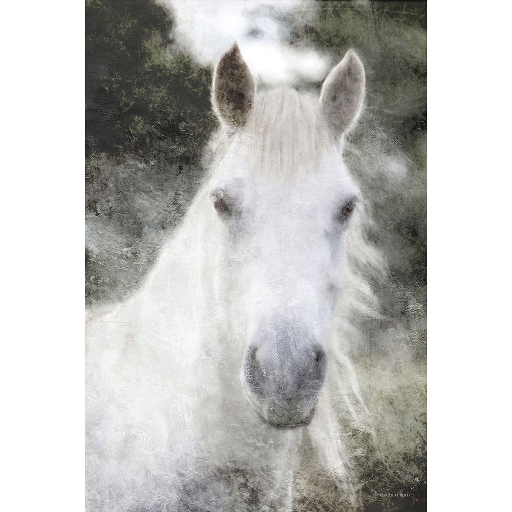 White Horse Mystique Poster Print by Bluebird Barn Bluebird Barn -VARPDXBLUE461 Image 1