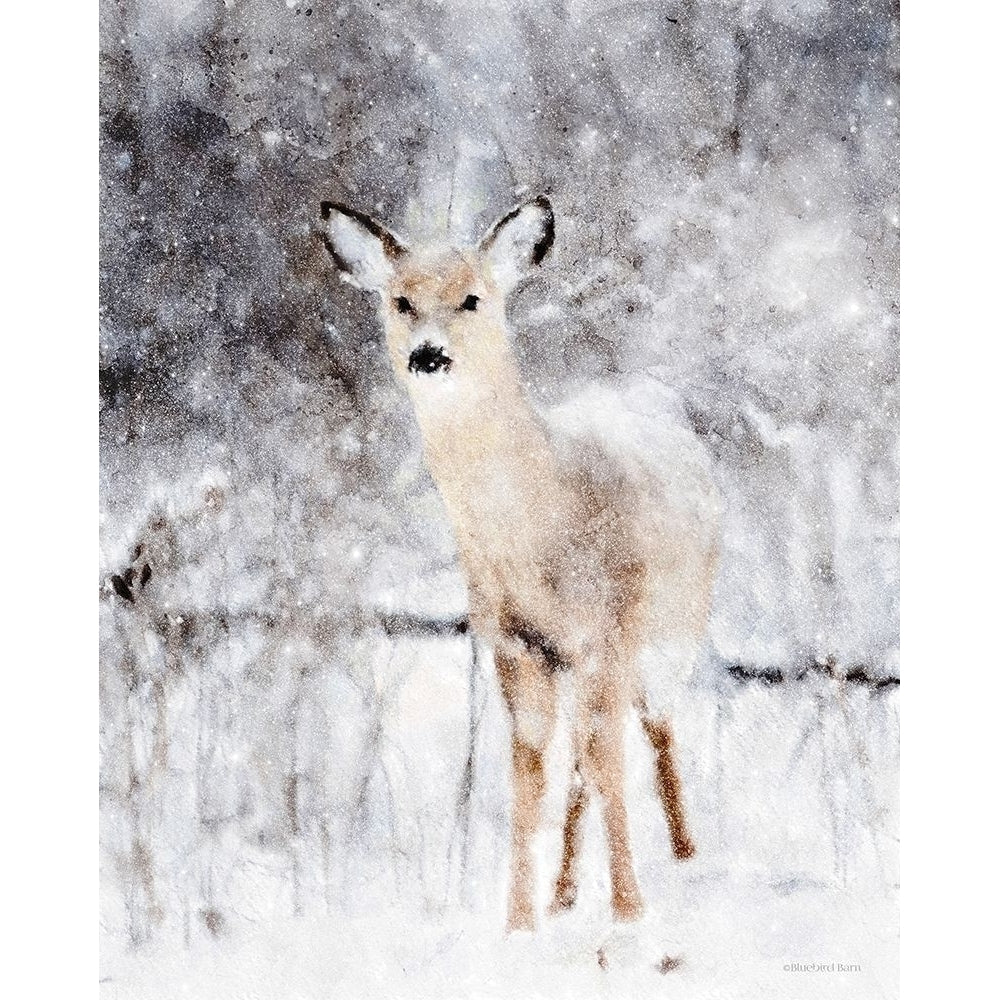 Deer in Winter Forest Poster Print by Bluebird Barn Bluebird Barn-VARPDXBLUE460 Image 1