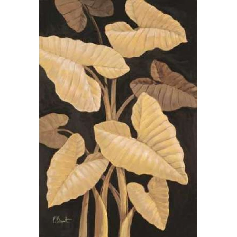 Tropical Leaves Poster Print by Paul Brent-VARPDXBNT019 Image 1