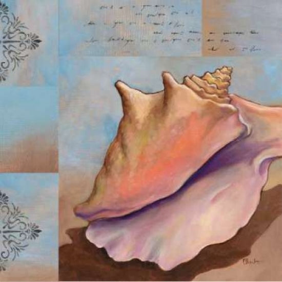 Sanibel Conch Poster Print by Paul Brent-VARPDXBNT108 Image 1