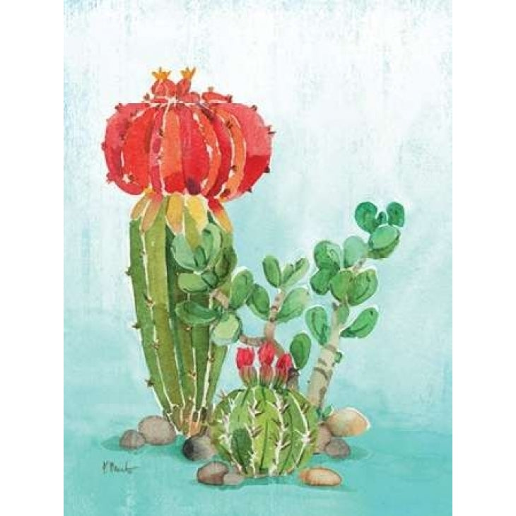 Cactus I Poster Print by Paul Brent-VARPDXBNT1278 Image 2