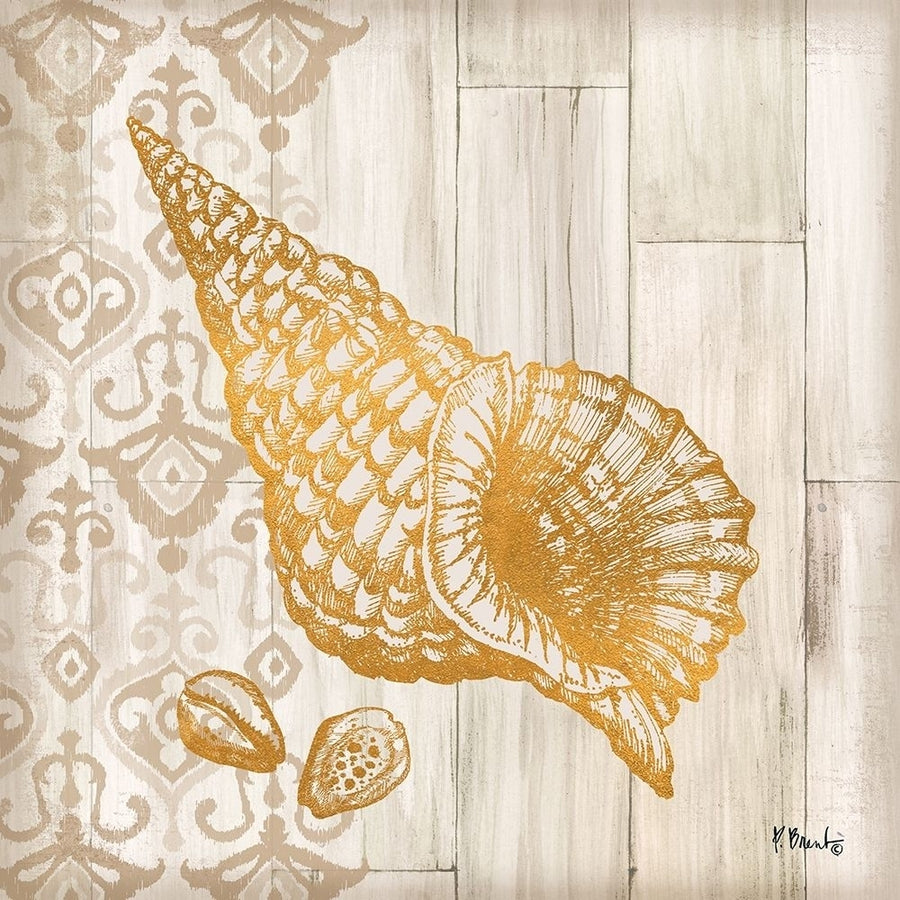 Saint Tropez Shells I Poster Print by Paul Brent-VARPDXBNT1366 Image 1