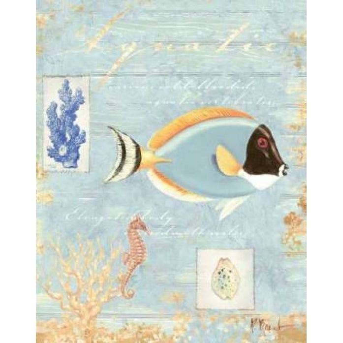 Aquatic Poster Print by Paul Brent-VARPDXBNT138 Image 1