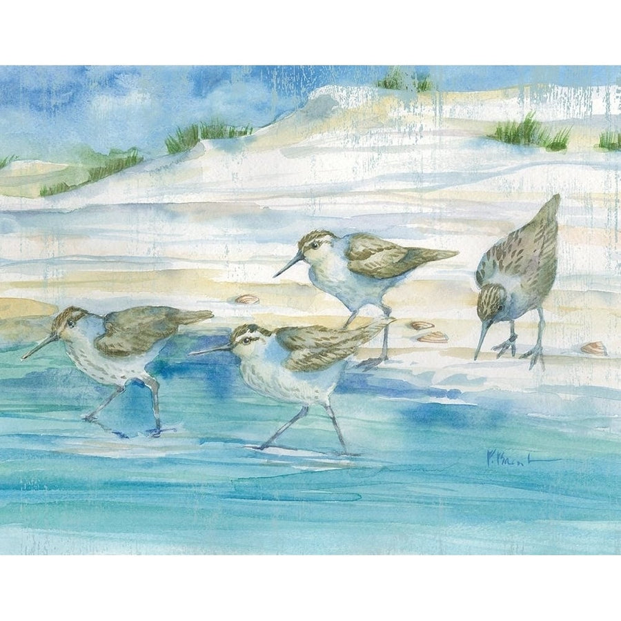 Sandy Sandpipers II Poster Print by Paul Brent-VARPDXBNT1441 Image 1