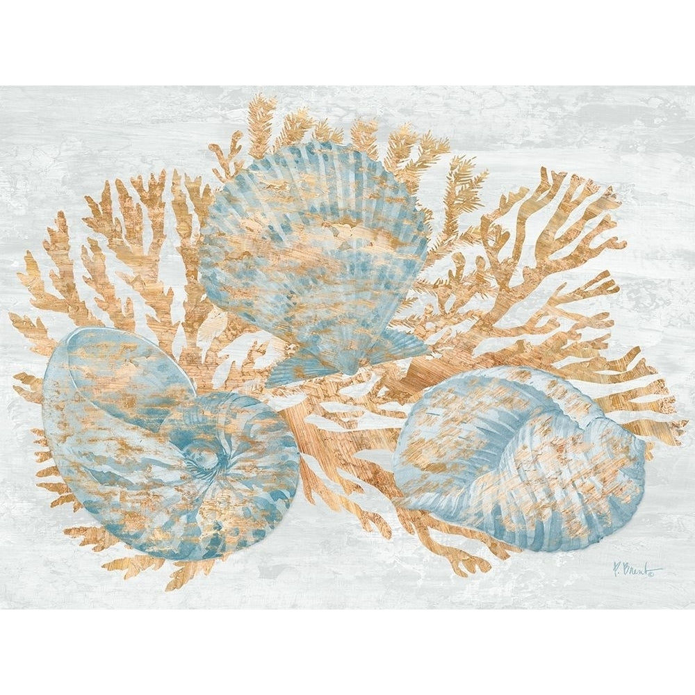 Shimmering Shells II Poster Print by Paul Brent-VARPDXBNT1527 Image 1