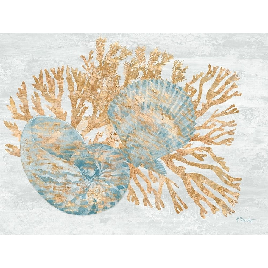 Shimmering Shells I Poster Print by Paul Brent-VARPDXBNT1526 Image 1