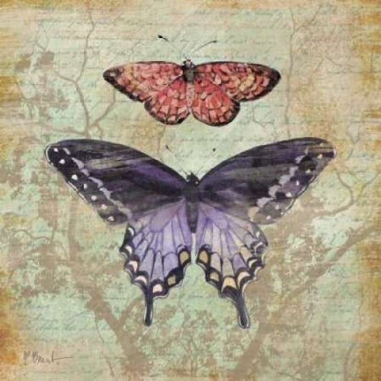 Vintage Butterflies IV Poster Print by Paul Brent-VARPDXBNT219 Image 2