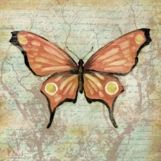 Vintage Butterflies I Poster Print by Paul Brent-VARPDXBNT216 Image 1