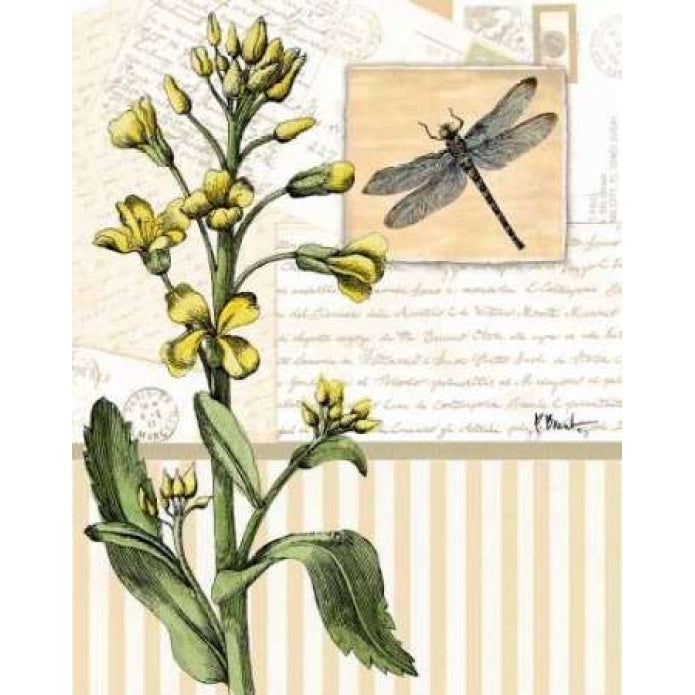 Botanical Collage II Poster Print by Paul Brent-VARPDXBNT223 Image 2