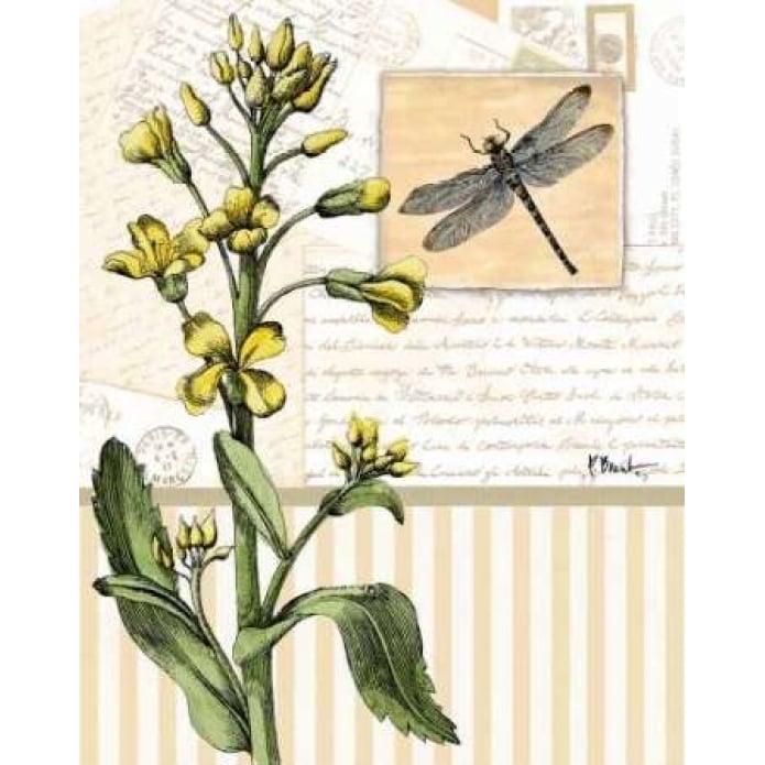 Botanical Collage II Poster Print by Paul Brent-VARPDXBNT223 Image 1