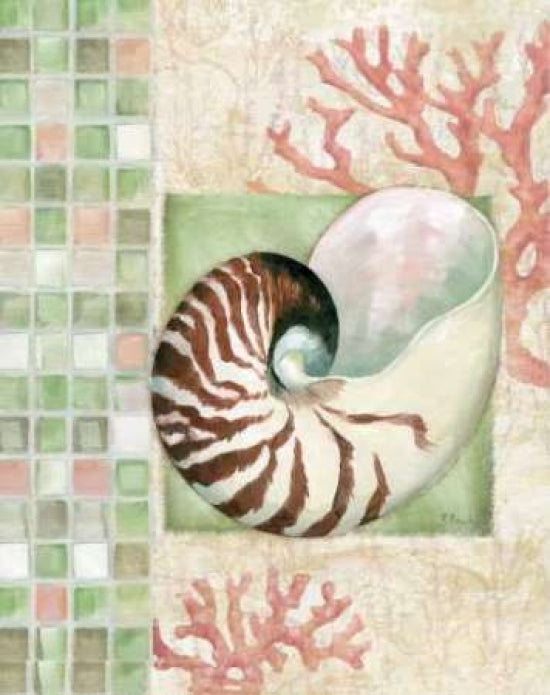 Mosaic Shell Collage I Poster Print by Paul Brent-VARPDXBNT242 Image 1