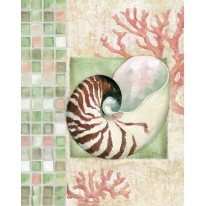 Mosaic Shell Collage I Poster Print by Paul Brent-VARPDXBNT242 Image 2