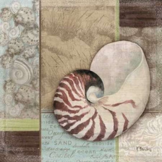 Santa Rosa Shell II Poster Print by Paul Brent-VARPDXBNT343 Image 2