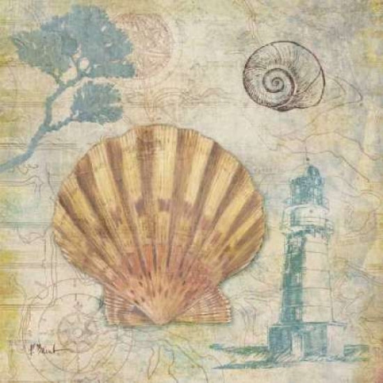 Discovery Shell II Poster Print by Paul Brent-VARPDXBNT481 Image 1