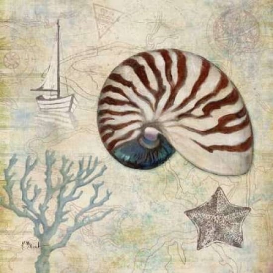 Discovery Shell I Poster Print by Paul Brent-VARPDXBNT480 Image 2